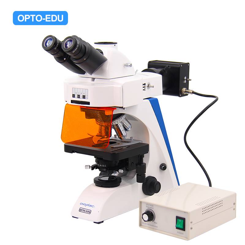 A16.2603-LT4 LED Fluorescent Microscope