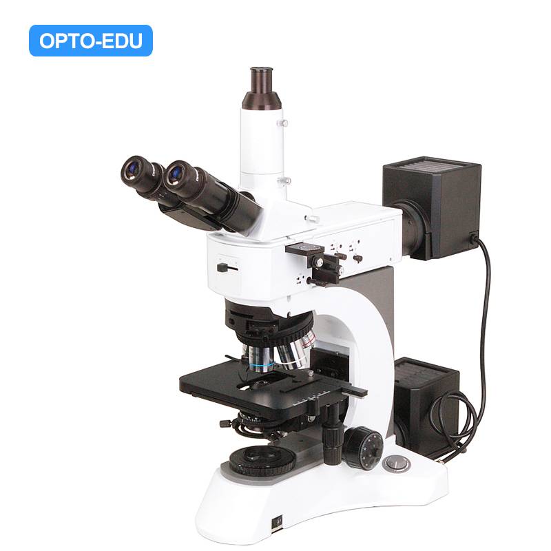 A13.1013-B Metallurgical Microscope, BF/DF, PL, DIC