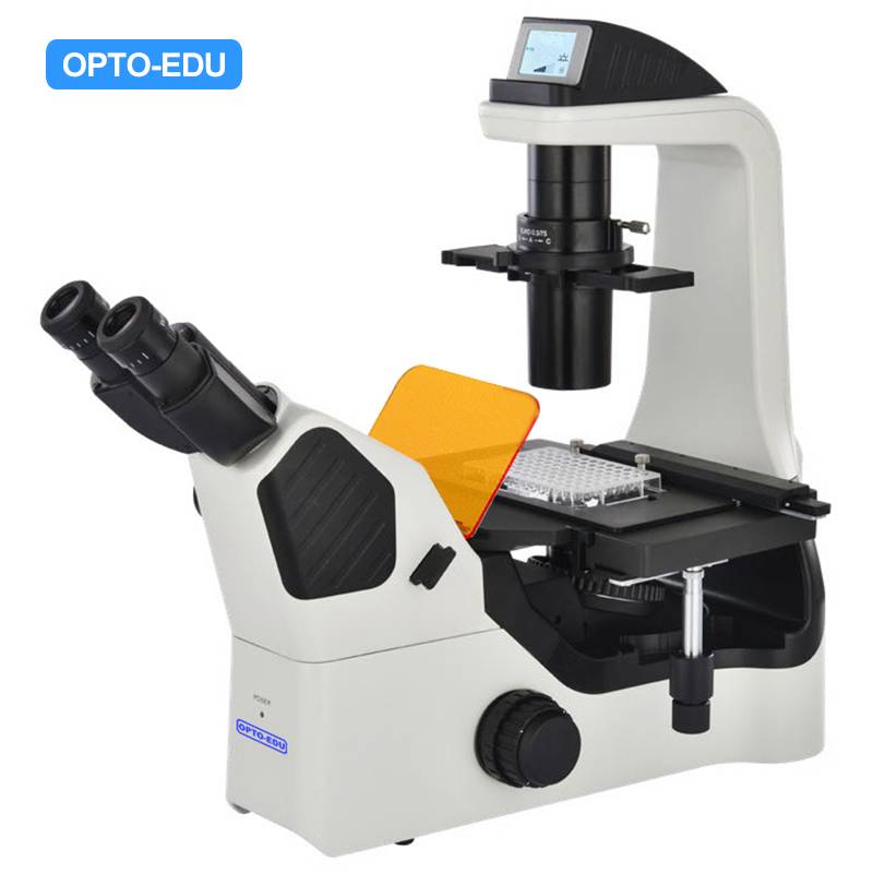 A16.1064 Inverted LED Fluorescent Microscope