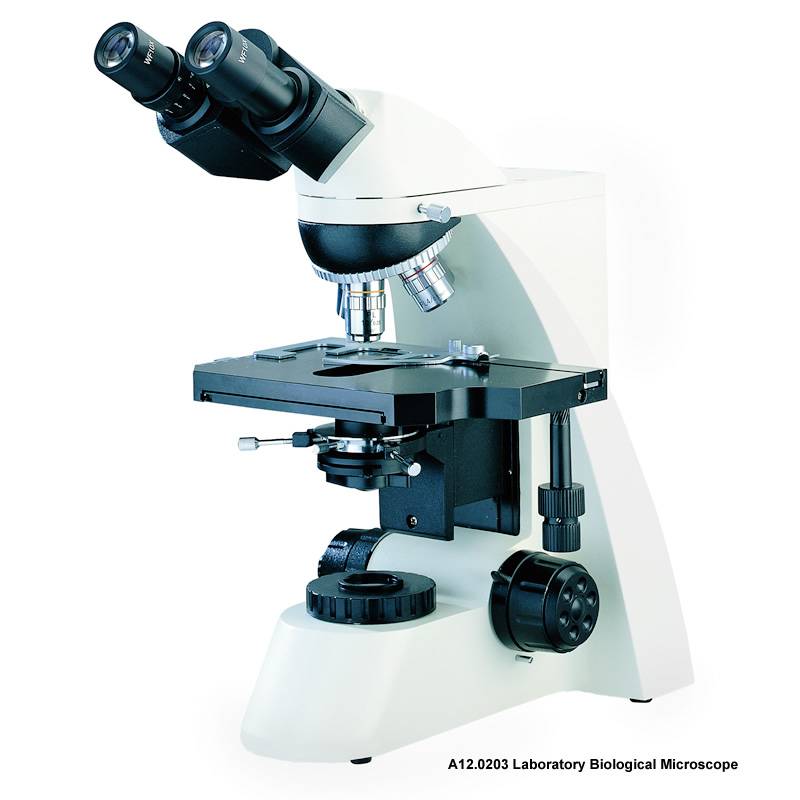CE Certified Biological laboratory Compound microscope