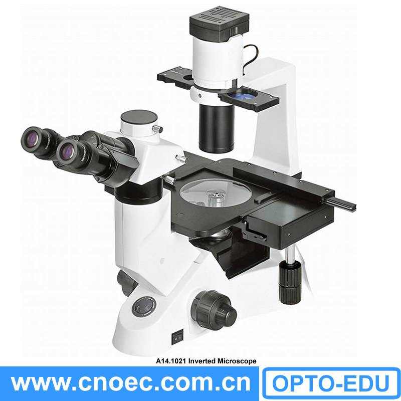 A14.1021 Inverted Laboratory Biological Microscope