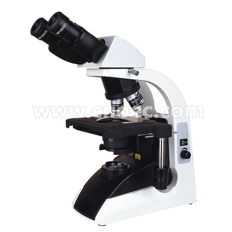 Biologcial Microscope