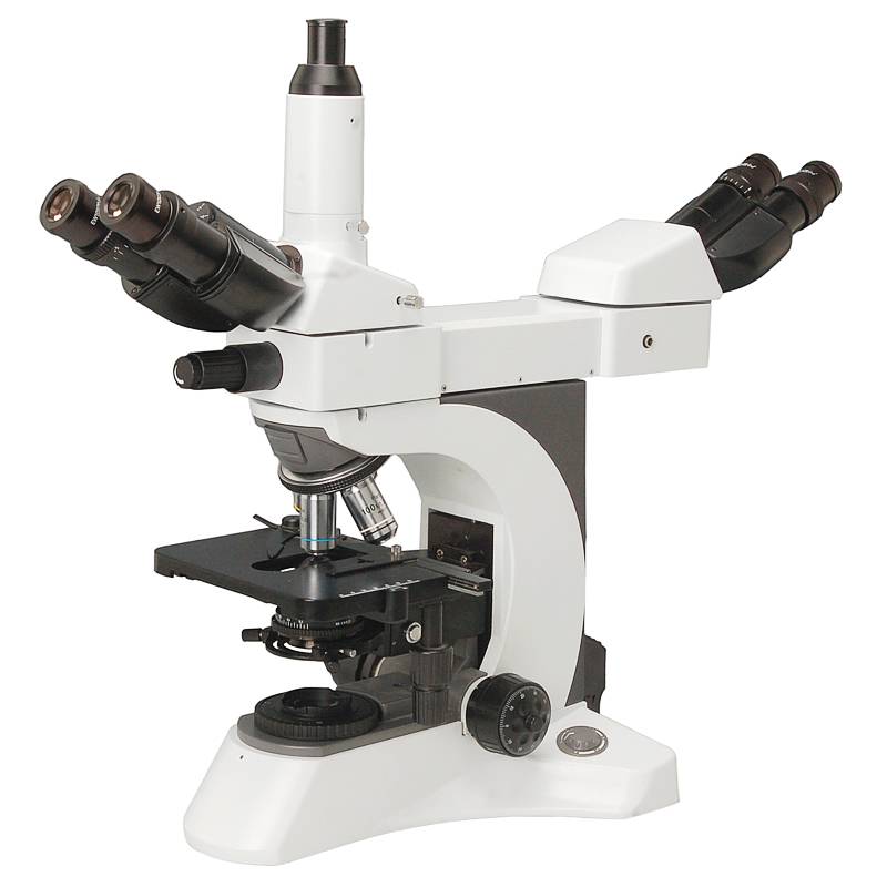 Multi Viewing Microscope,2 Position