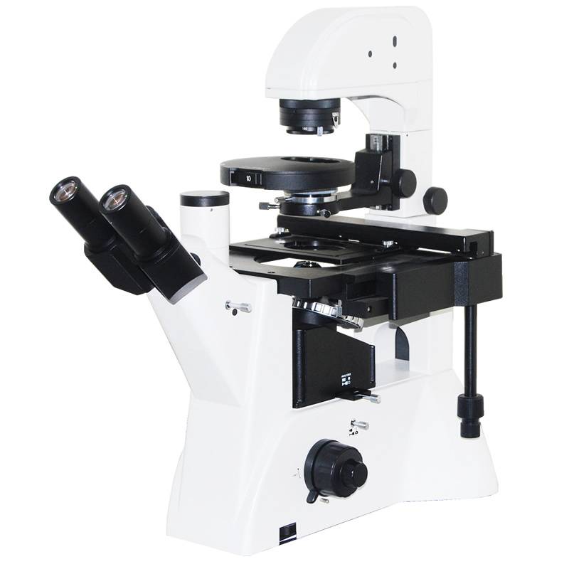Inverted Biological Phase Contrast Microscope, DIC
