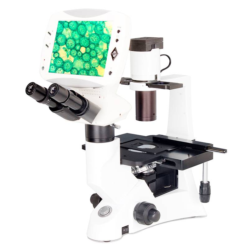LCD Inverted Microscope