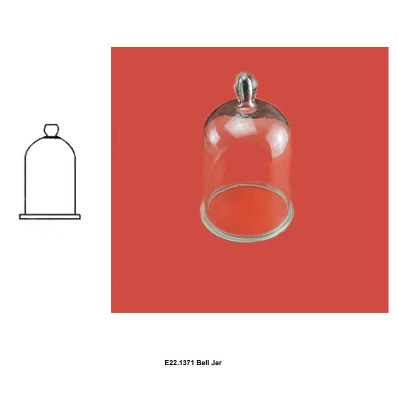 Bell  Jar