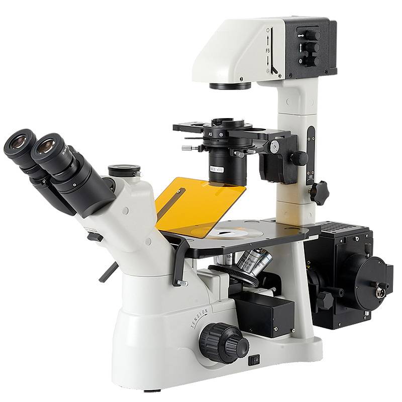 Inverted Flourescence Microscope, Kohler