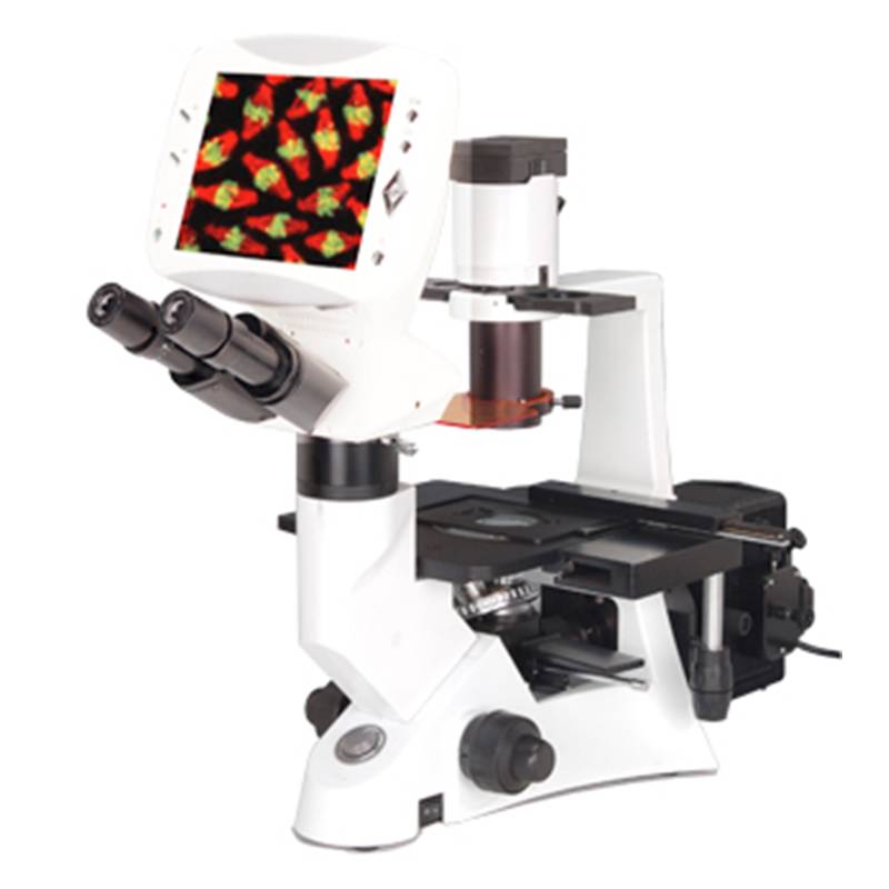 LCD Inverted Flourescent Microscope