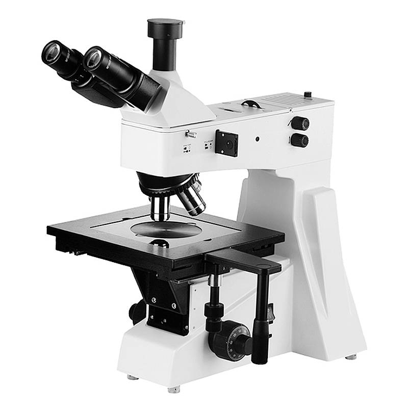 Metallurgical Microscope, BF/DF
