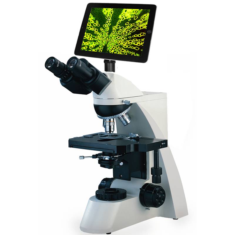 9.7” LCD Pad Digital Laboratory Microscope