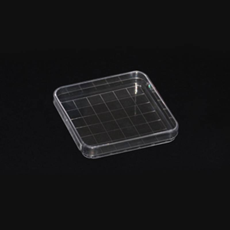 Square Petri Dish