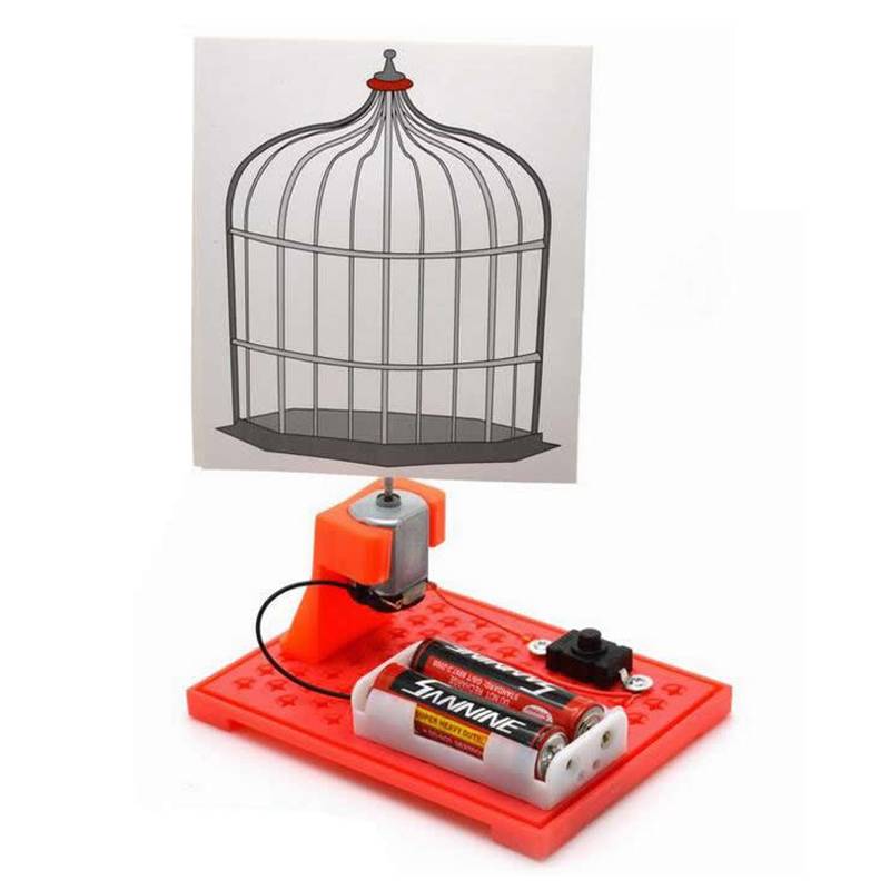 DIY Bird In Cage
