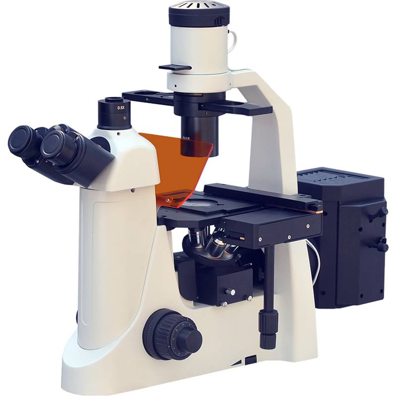 Inverted Flourescent Microscope