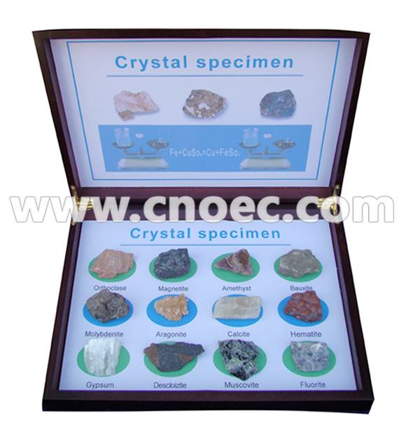 Crystal Specimen Set of 12