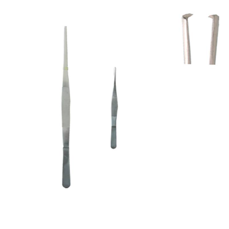 Insection Forceps