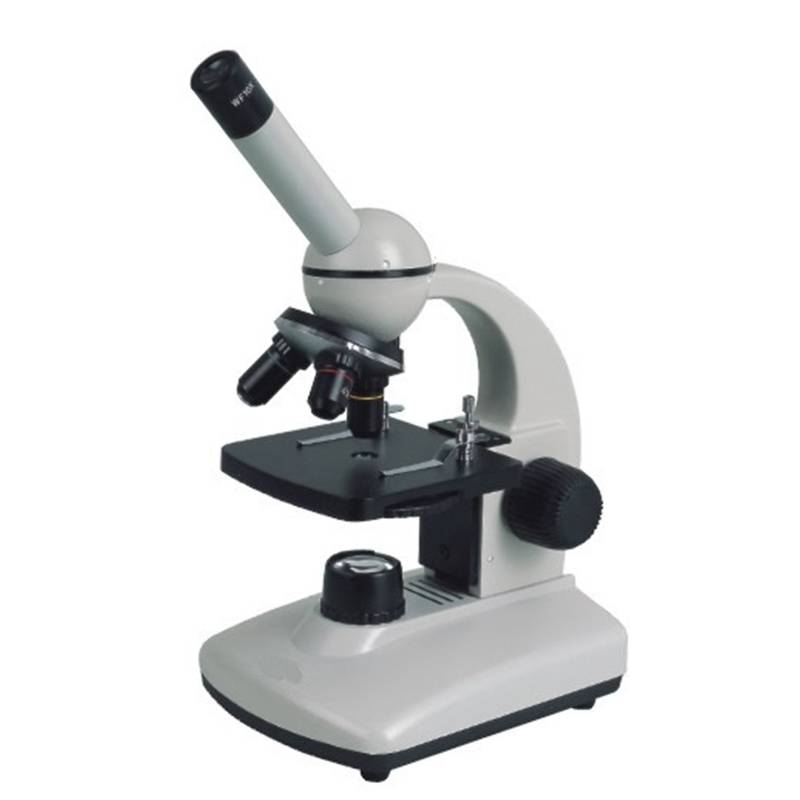 A11.1302 Student Biological Microscope