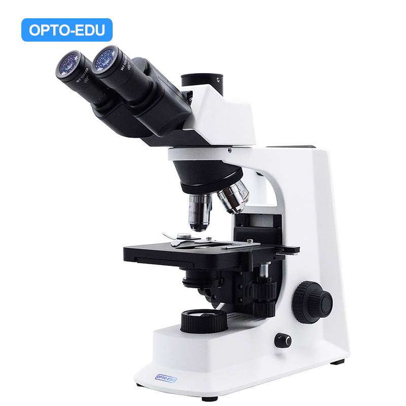 A12.2601-CT Laboratory Biological Microscope, Trinocular, Infinity E-Plan