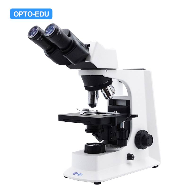 A12.2601-A Laboratory Biological Microscope, Binocular, Achromatic
