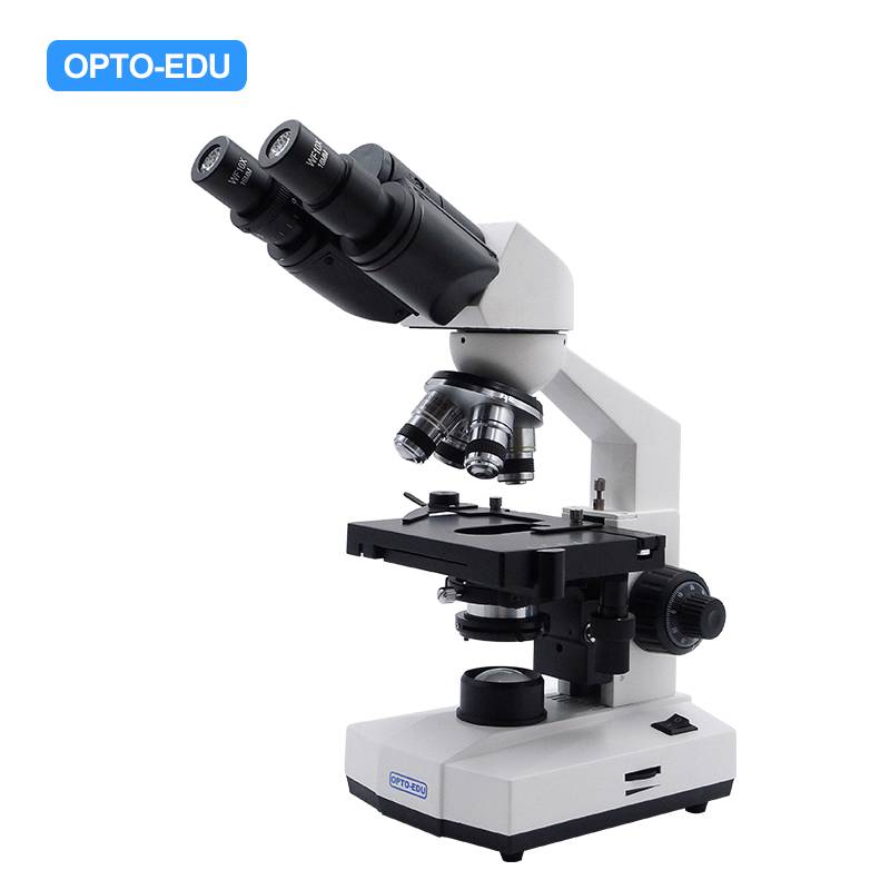 A11.1521-B Student Biological Microscope, Binocular