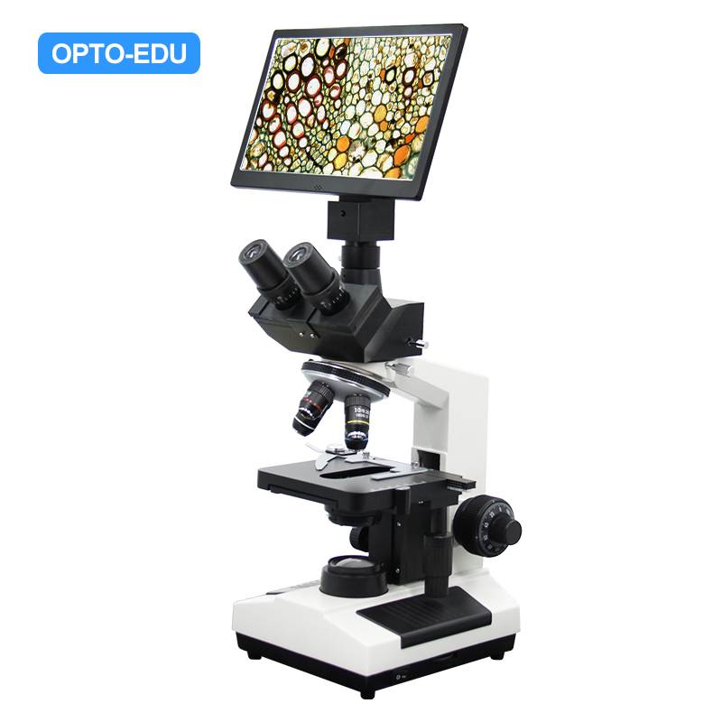 A33.1017 XSZ 107 Biological Digital 10.1″ LCD Microscope