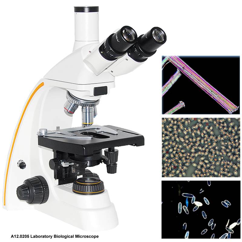 A12.0205-T Laboratory Biological Microscope
