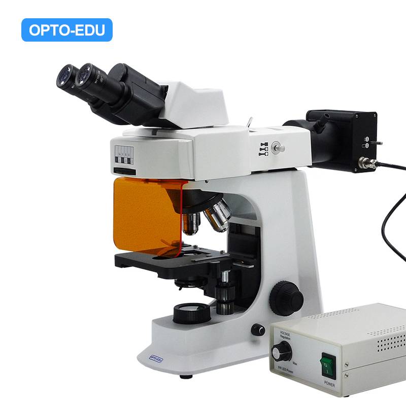 A16.2601-LB4 LED Fluorescent Microscope, Binocular, B,G,U,UV