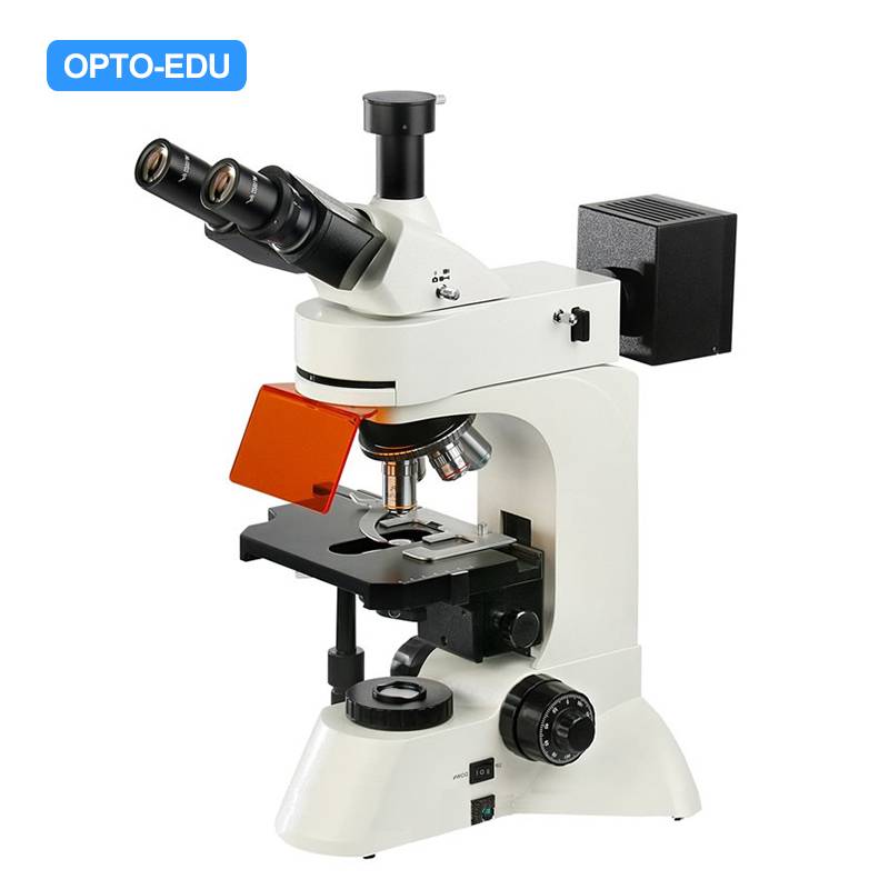 A16.0207-4 LED Flourescent Microscope, B,G,UV,U