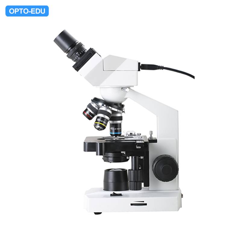 A31.1006-B Digital Student Microscope, 1.3M