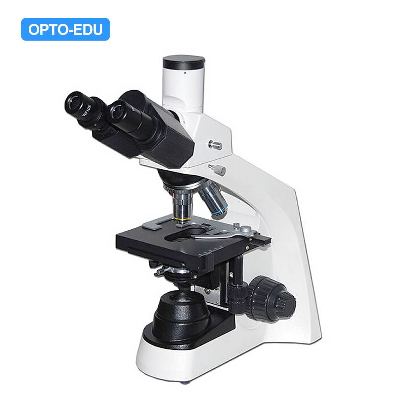 A12.0206-T Laboratory Biological Microscope, Trinocular