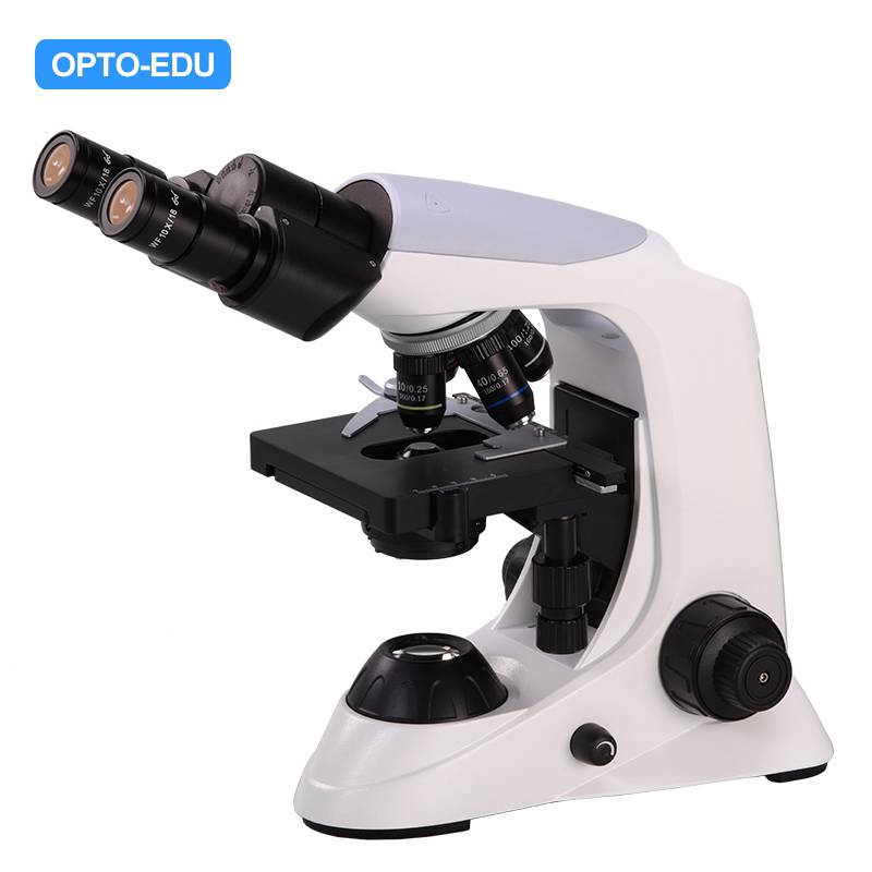 A11.6603-B1 Student Biological Microscope, Binocular, Plan