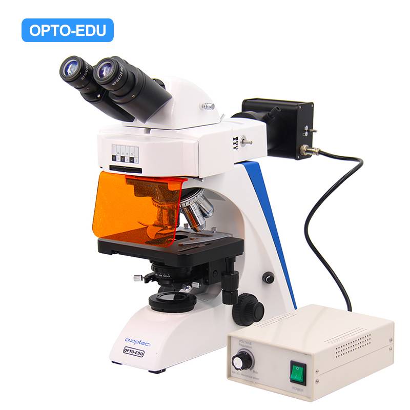 A16.2603-LB4 LED Fluorescent Microscope