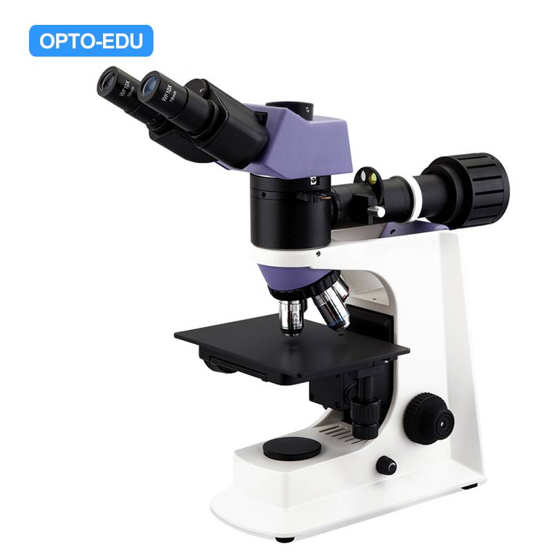 Metallurgical Microscope, Reflect Light, Trinocular