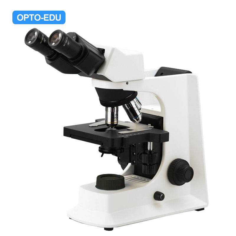 A12.2601-B Laboratory Biological Microscope, Binocular, Plan