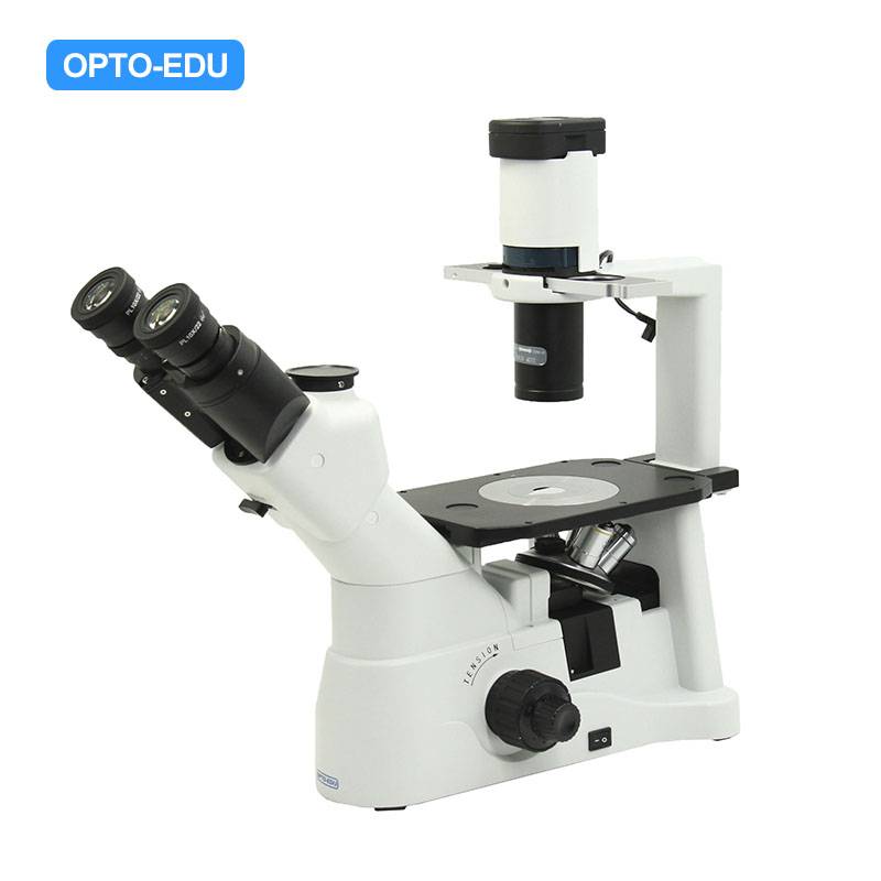 A14.0901-B Inverted Microscope