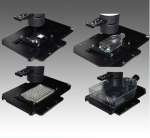 A14.0205 Inverted Biological Phase Contrast Microscope