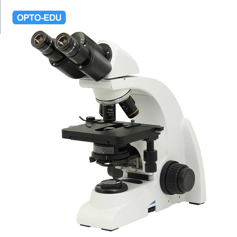 Laboratory Microscope, Infinity Achromatic, Binocular