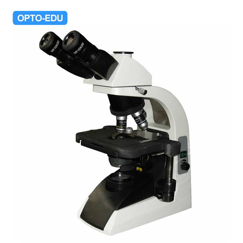 A12.1010-B Laboratory Microscope