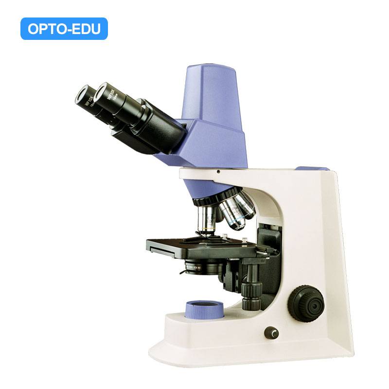 A31.2601-500 Digital Biological Microscope, 5.0M
