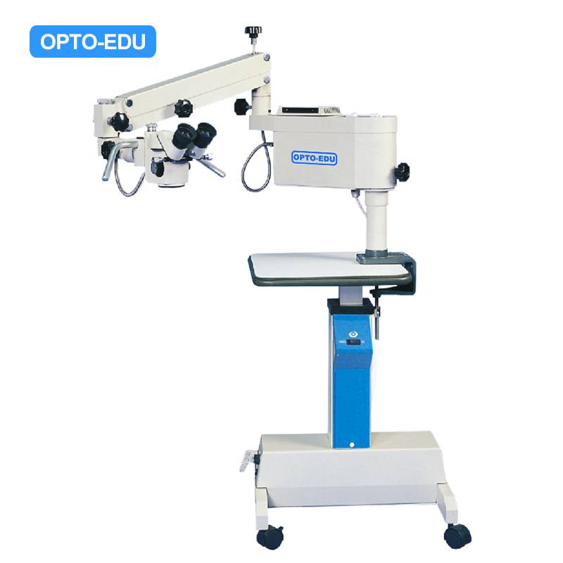 Operating Microscope, Ophthalmology, Otorhinolaryngology, Surgery, Gynecology