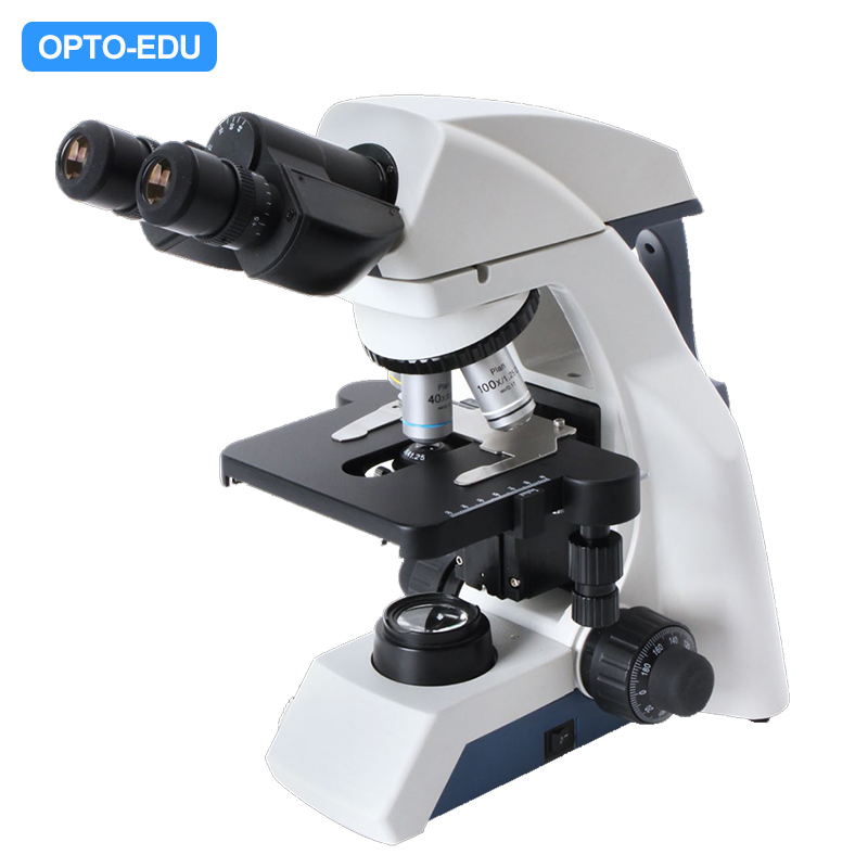 A12.1037-B Binocular Laboratory Microscope