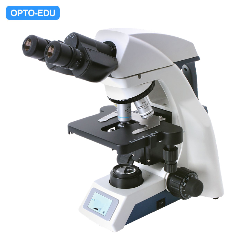 A12.1038-B Binocular Laboratory Microscope