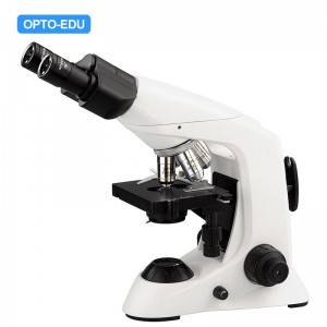 A12.6603-B3 Laboratory Biological Microscope, Binocular, Achromatic