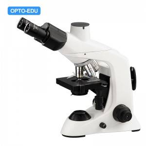 A12.6603-T4 Laboratory Biological Microscope, Trinocular, Plan