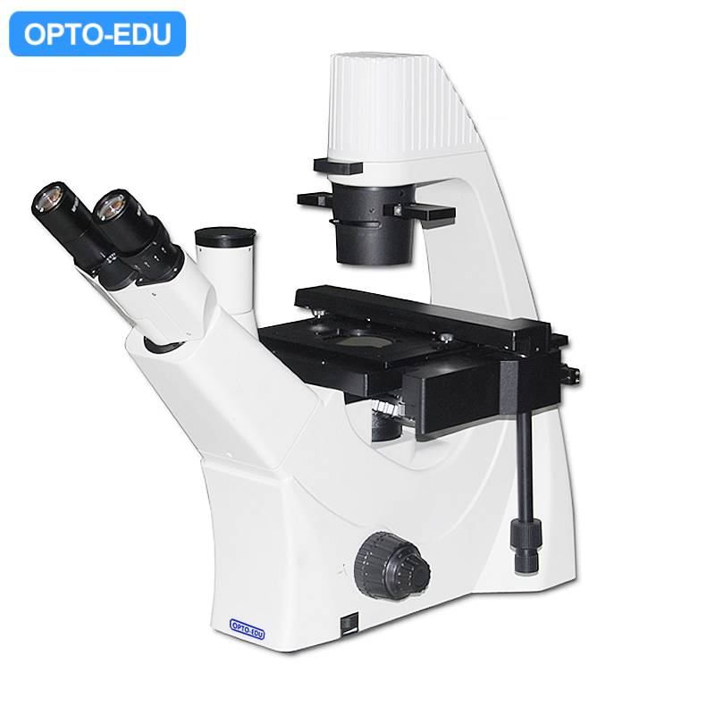 A14.0205-DIC Inverted Biological Phase Contrast Microscope-DIC