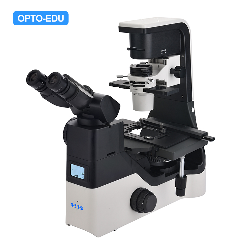 A14.1065 Inverted Biological Phase Contrast Microscope Featured Image