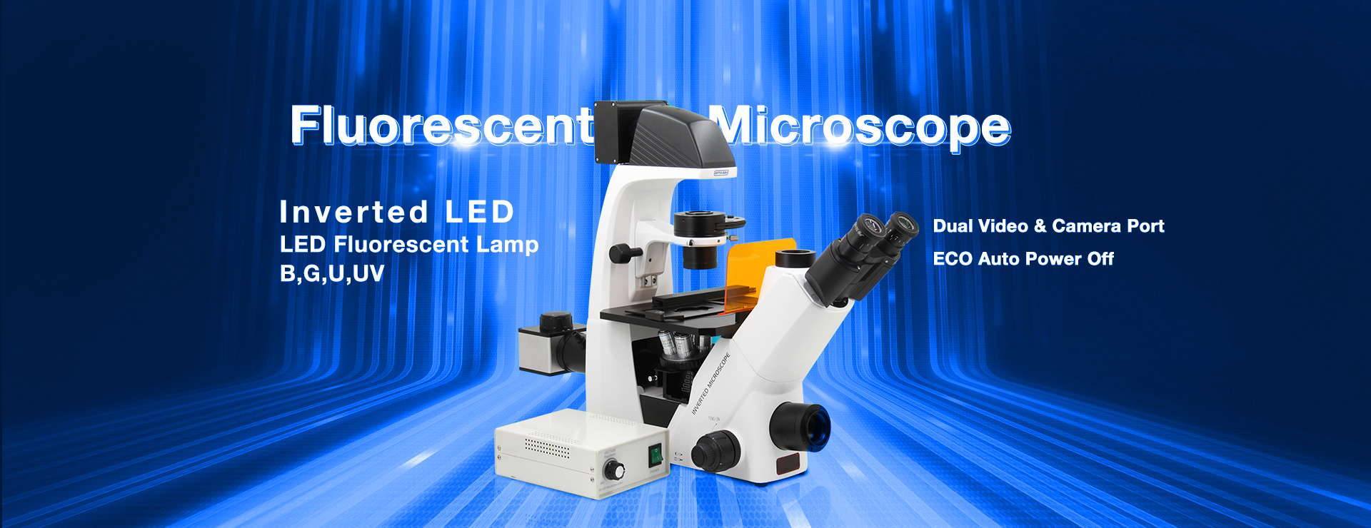 A16 Fluorescent microscope