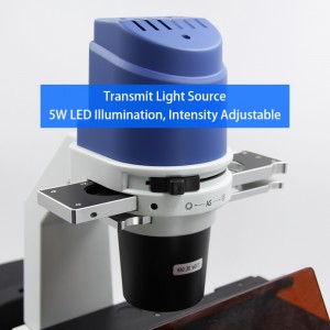 A16.0912-L Inverted LED Fluorescence Microscope