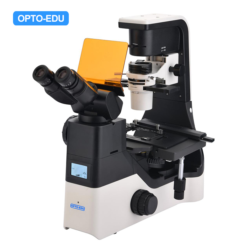 A16.1065 Inverted LED Fluorescent Microscope, B,G,U Featured Image