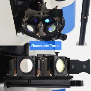A16.1092 Inverted Fluorescent Microscope, LCD Touch Screen Semi-APO, BF/PL/PH/FL