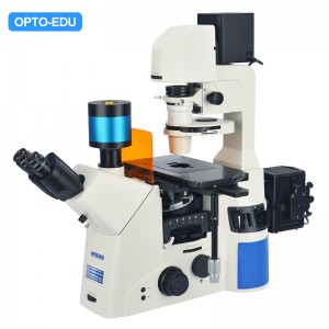 A16.1092 Inverted Fluorescent Microscope, LCD T...